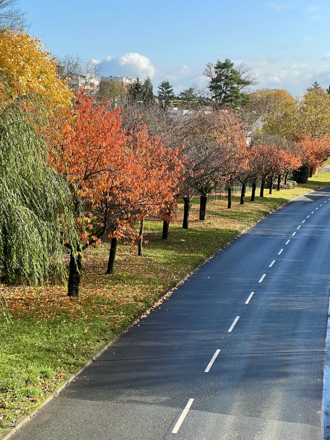 德国旅居三住巴特洪堡