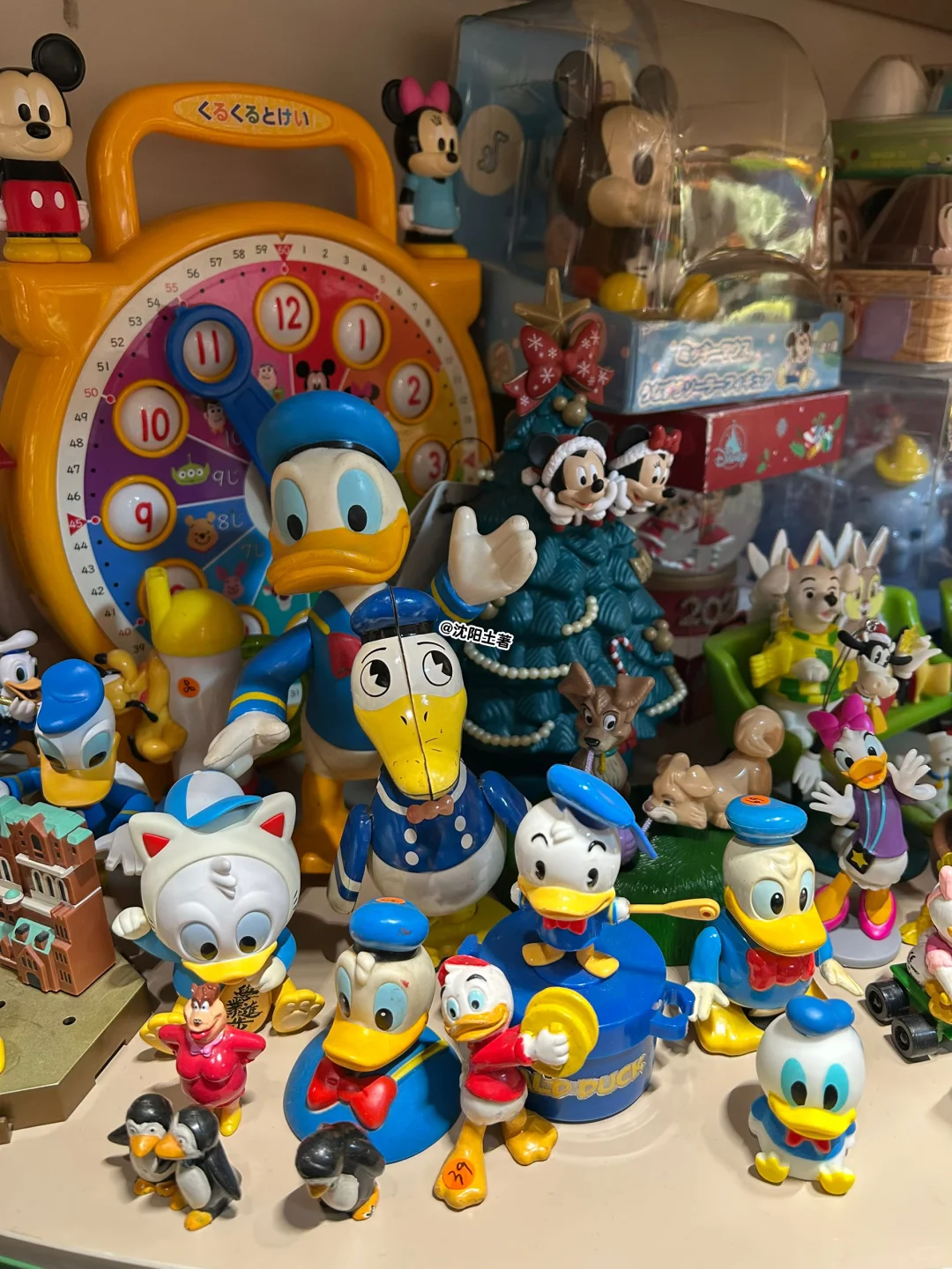 定期拔草之 沈阳这家玩具店全是宝?