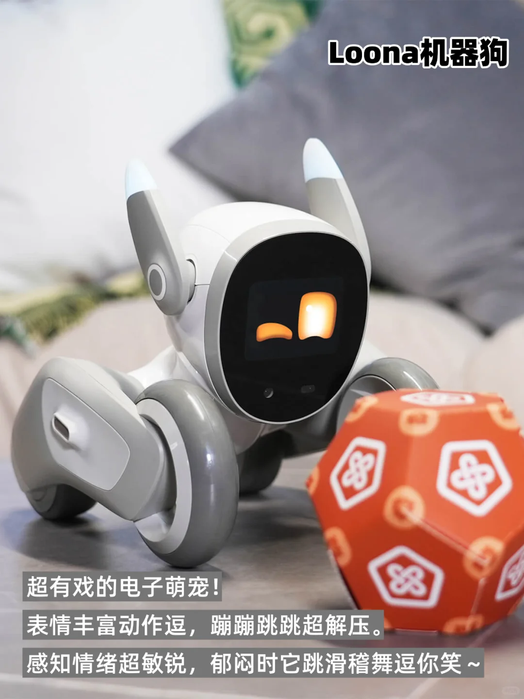 ?2025黑科技机器人集合！独居/带娃/宅家党