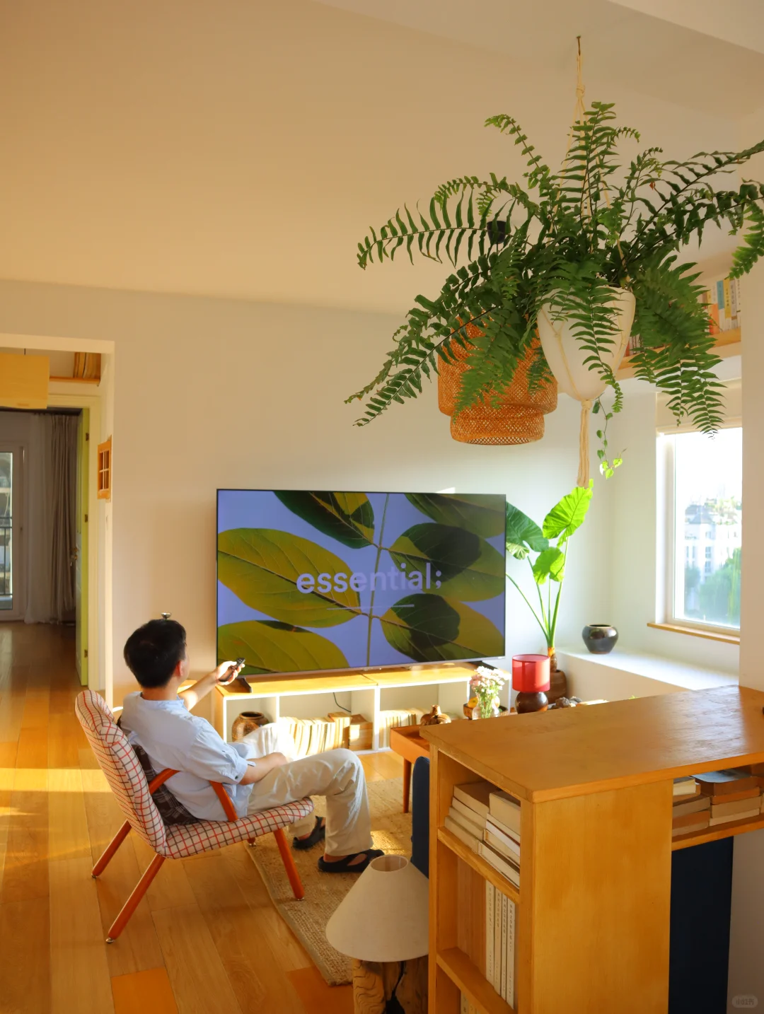 电视抗反光是智商税？西晒房用海信打脸了❗