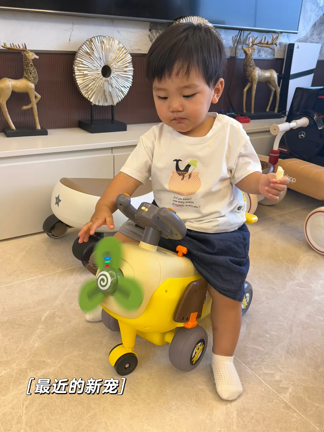 一岁+宝宝名下的爱车分享?