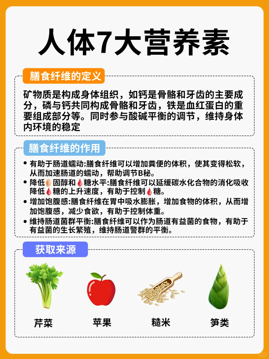 人体7大营养素，你都吃对了吗？