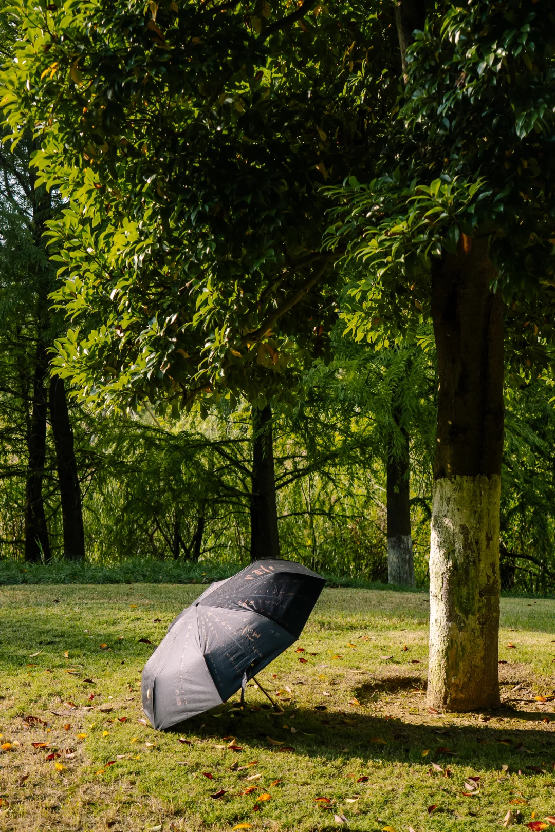 普陀山文创｜撑上这把伞自带氛围感！