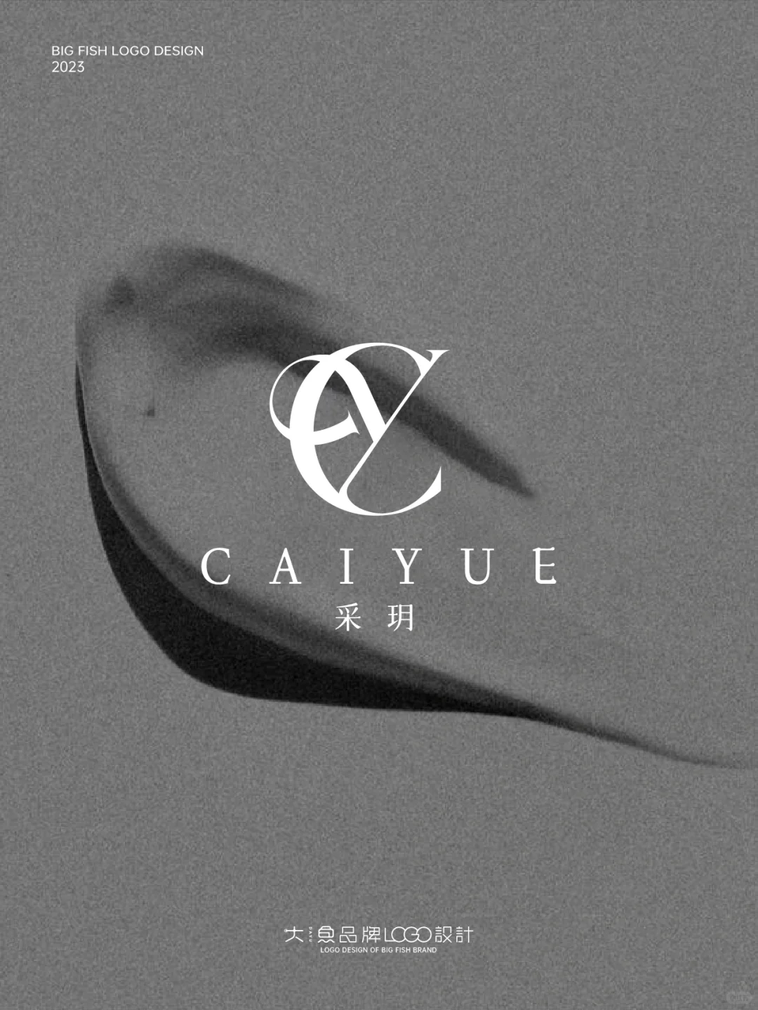 高级感的LOGO让我涨粉过万！