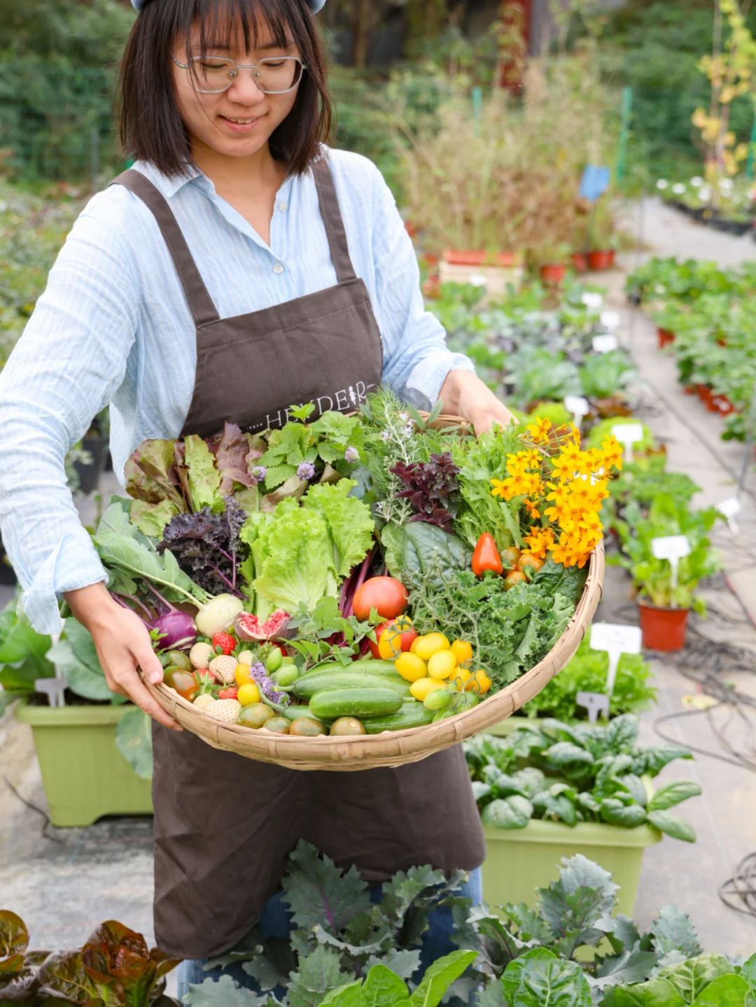 谁懂收菜的快乐啊？