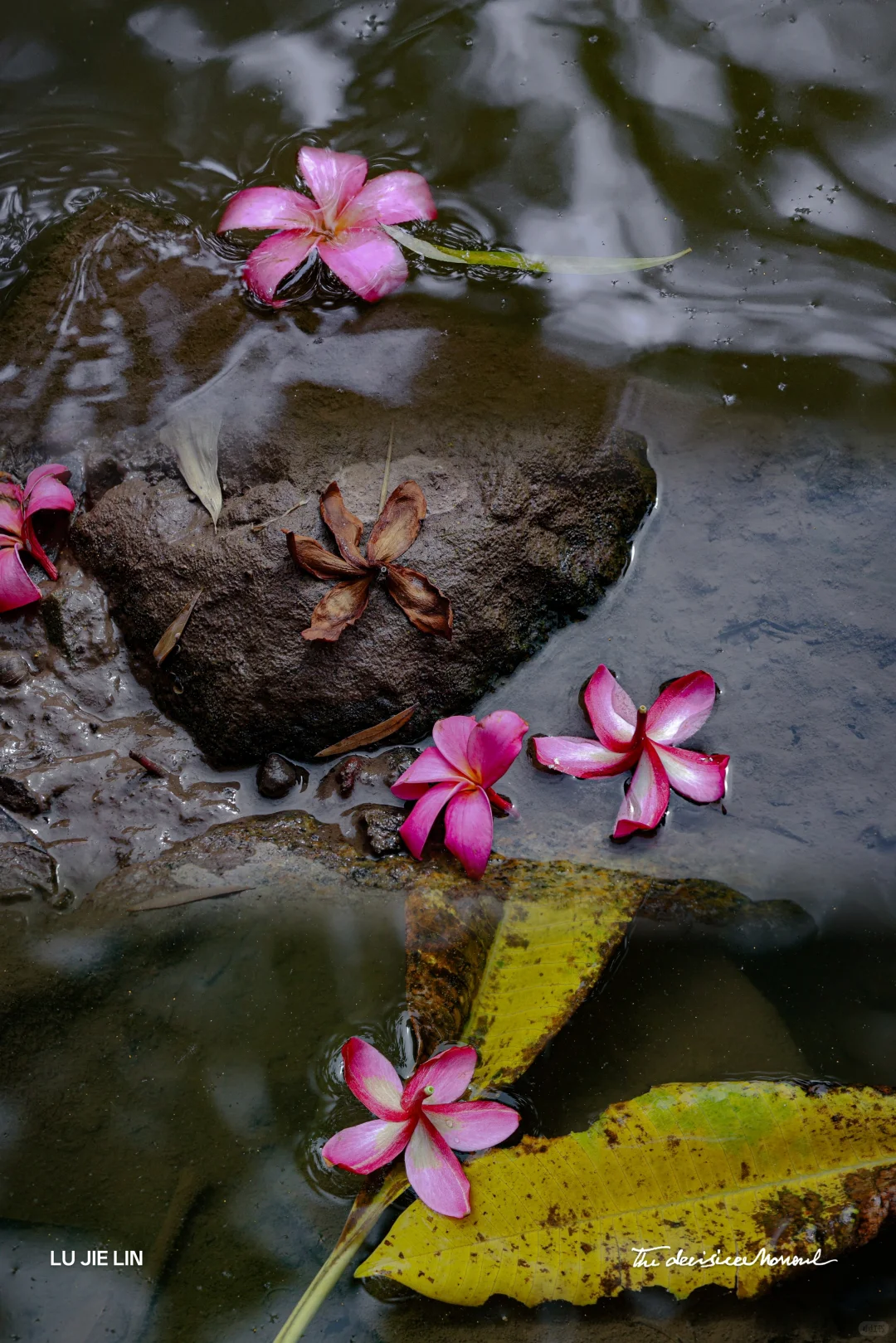 隐于城中村内的艺术|潘鹤雕塑艺术园?