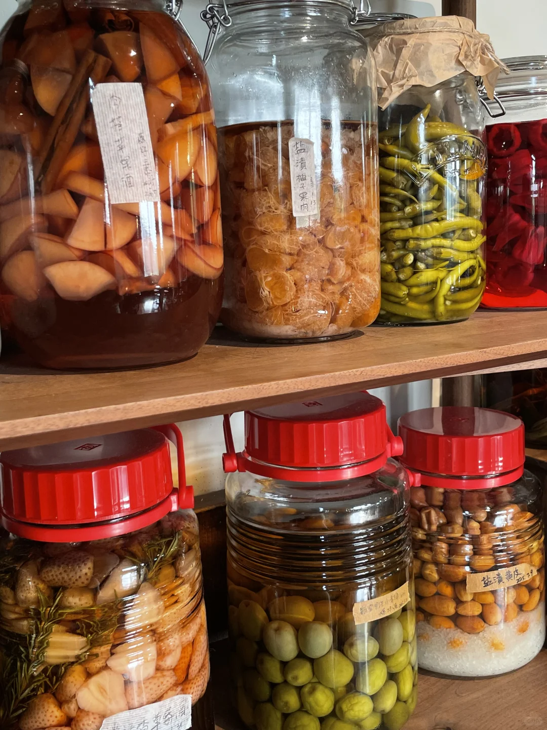 瓶瓶罐罐的我的生活