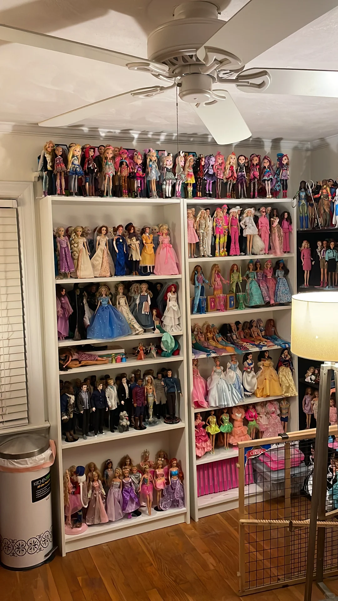 我收藏的芭比娃娃