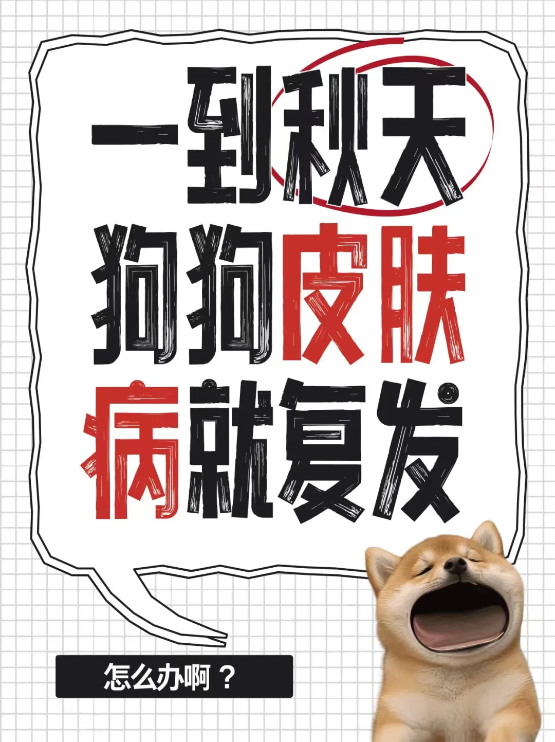 一到秋天狗狗的皮肤病就复发怎么办啊？