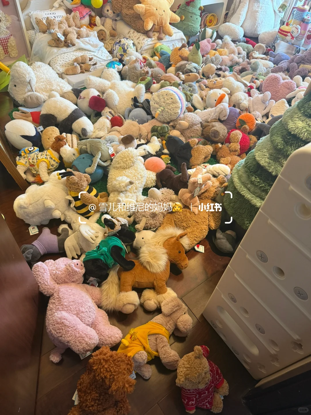 一口气背着家人买了16w的jellycat现状