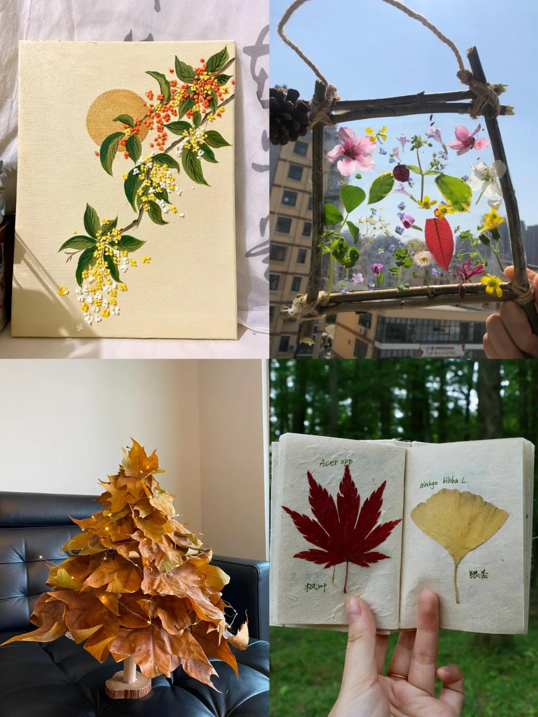 艾特你的好朋友一起去公园捡秋天！