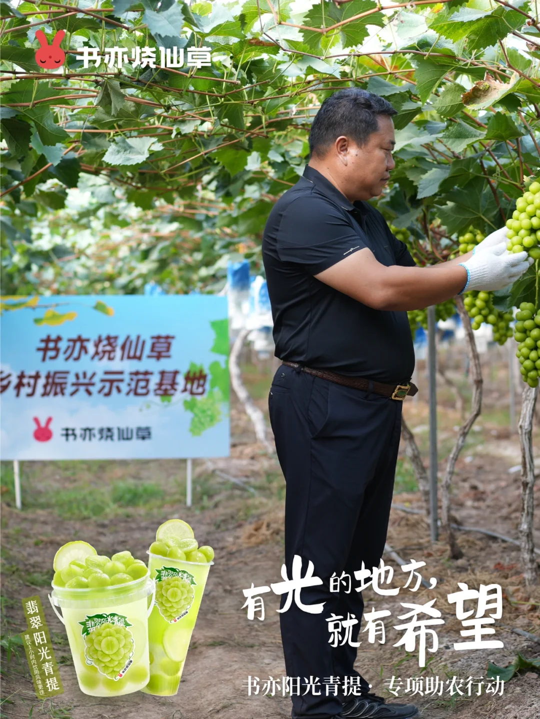 ?乡村振兴！我们是认真的！