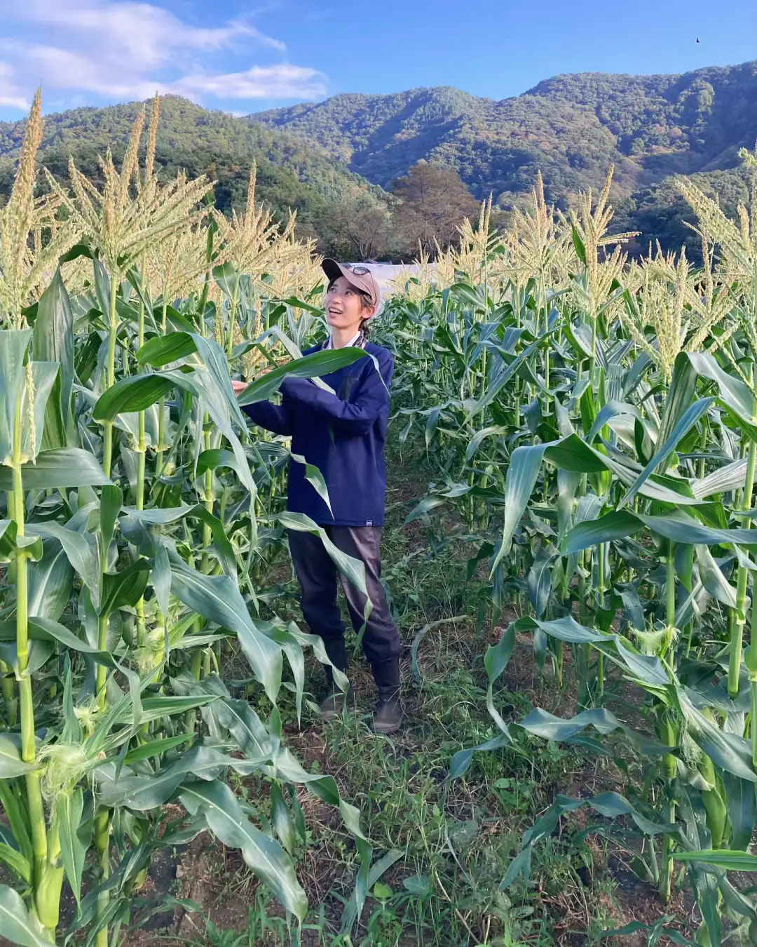 甜度堪比蜂蜜的水果?我要把这款玉米告诉