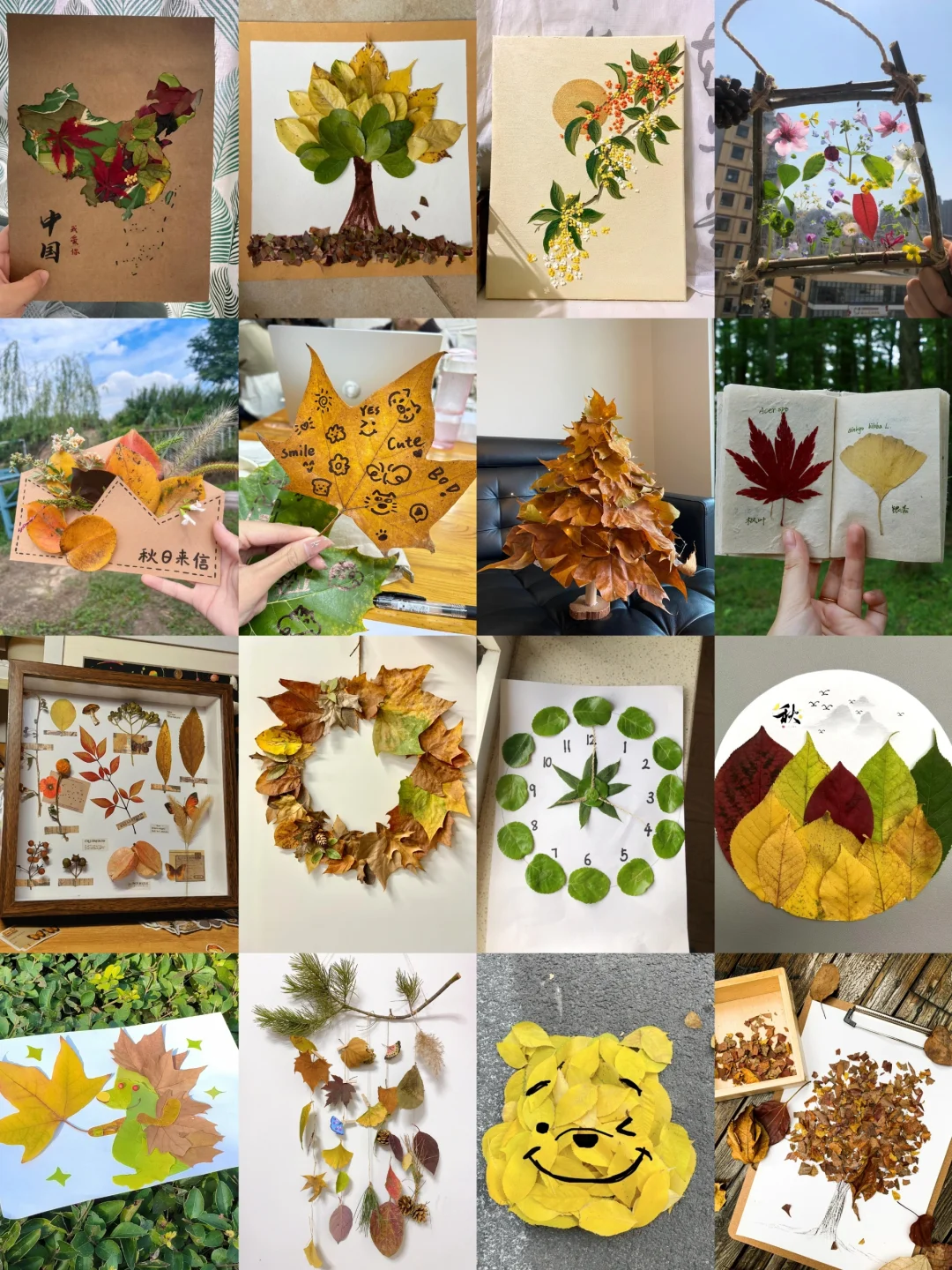 艾特你的好朋友一起去公园捡秋天！