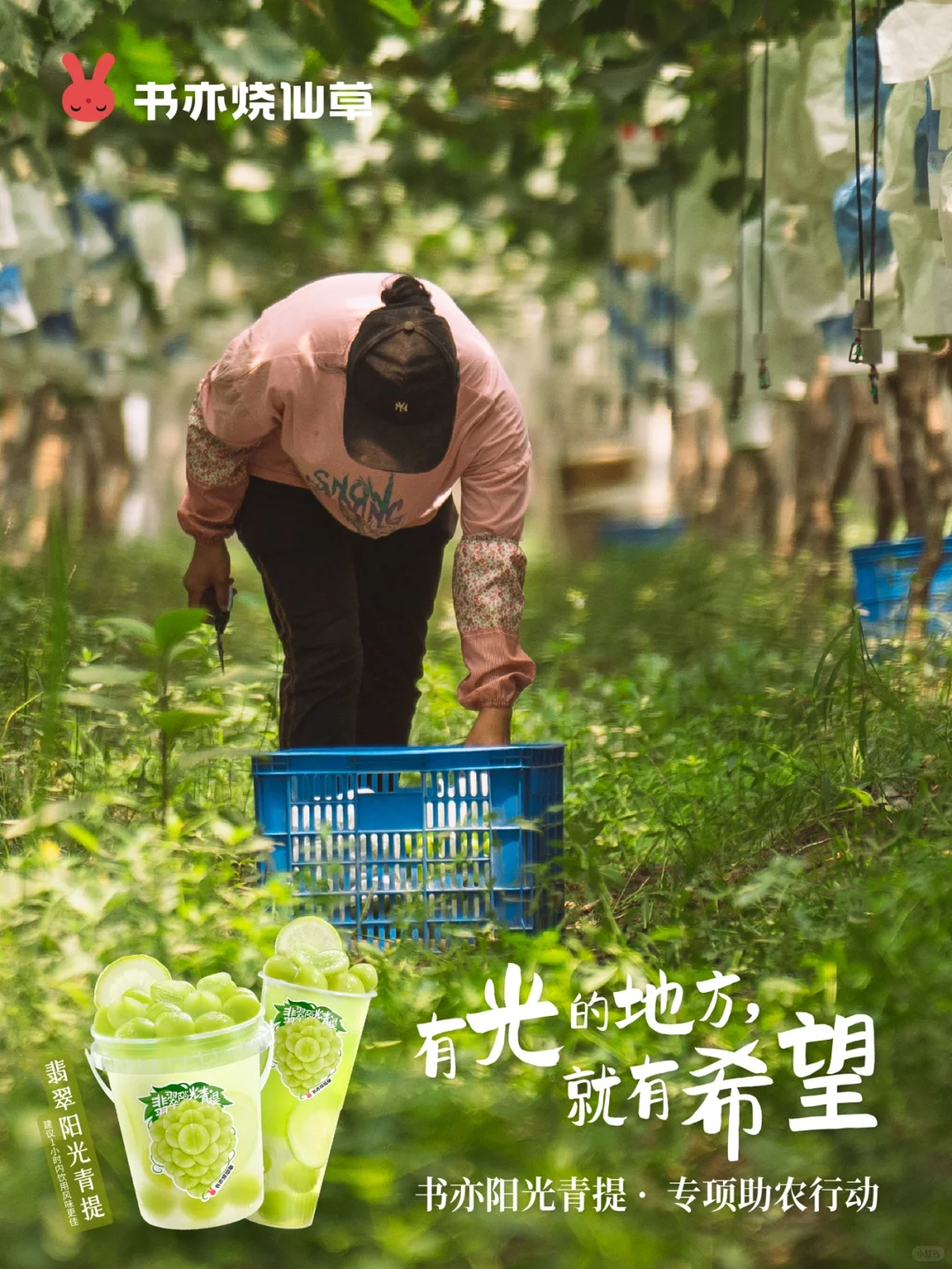 ?乡村振兴！我们是认真的！