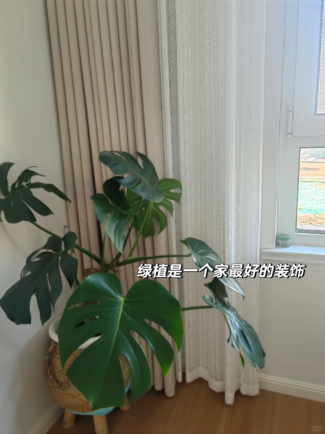 普通人的体面，是干干净净的家！