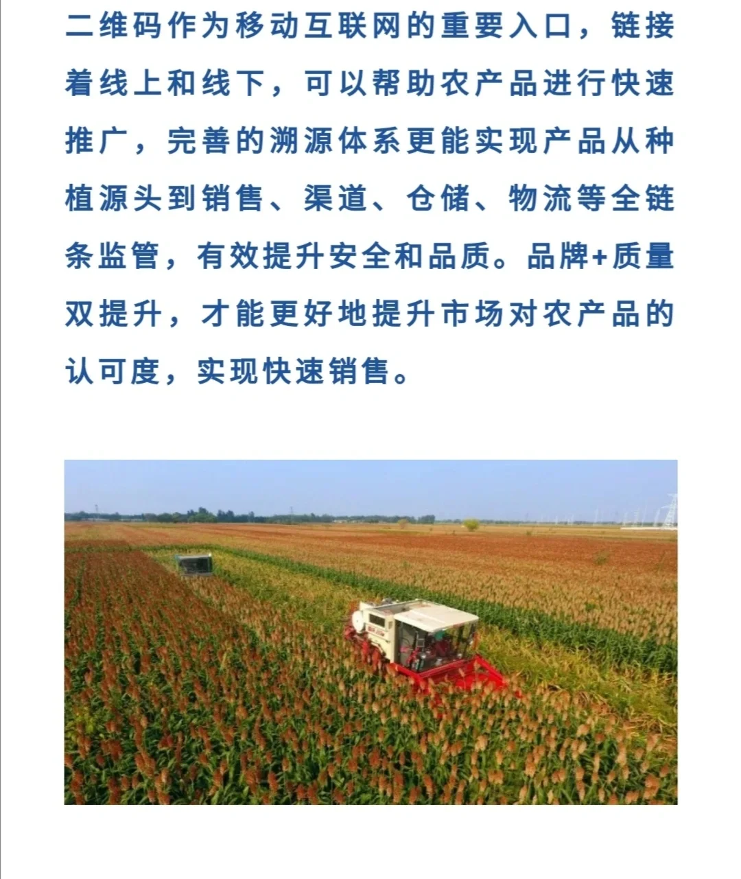 揭秘农产品溯源的六大优势