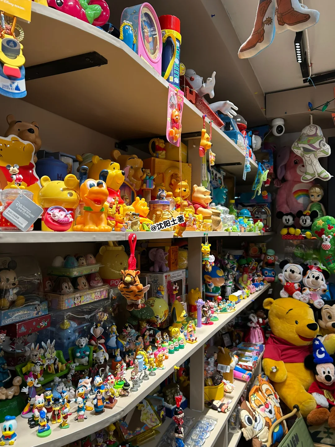 定期拔草之 沈阳这家玩具店全是宝?