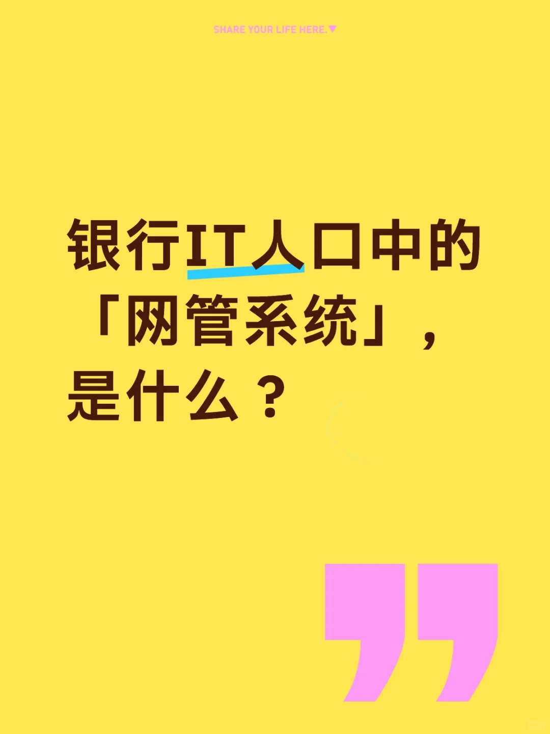 每天一个系统|No.91 网管系统