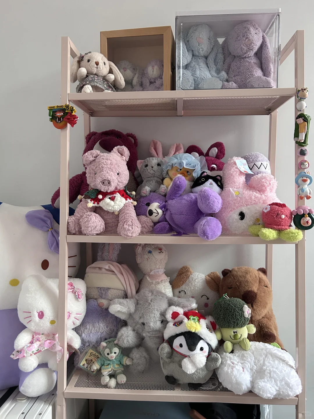 我的娃娃展示柜