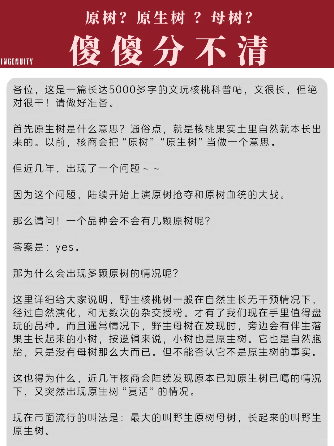 云收带您深入解析文玩核桃那些事儿