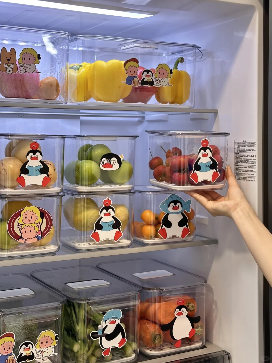 这样整理冰箱干净又省电‼️?