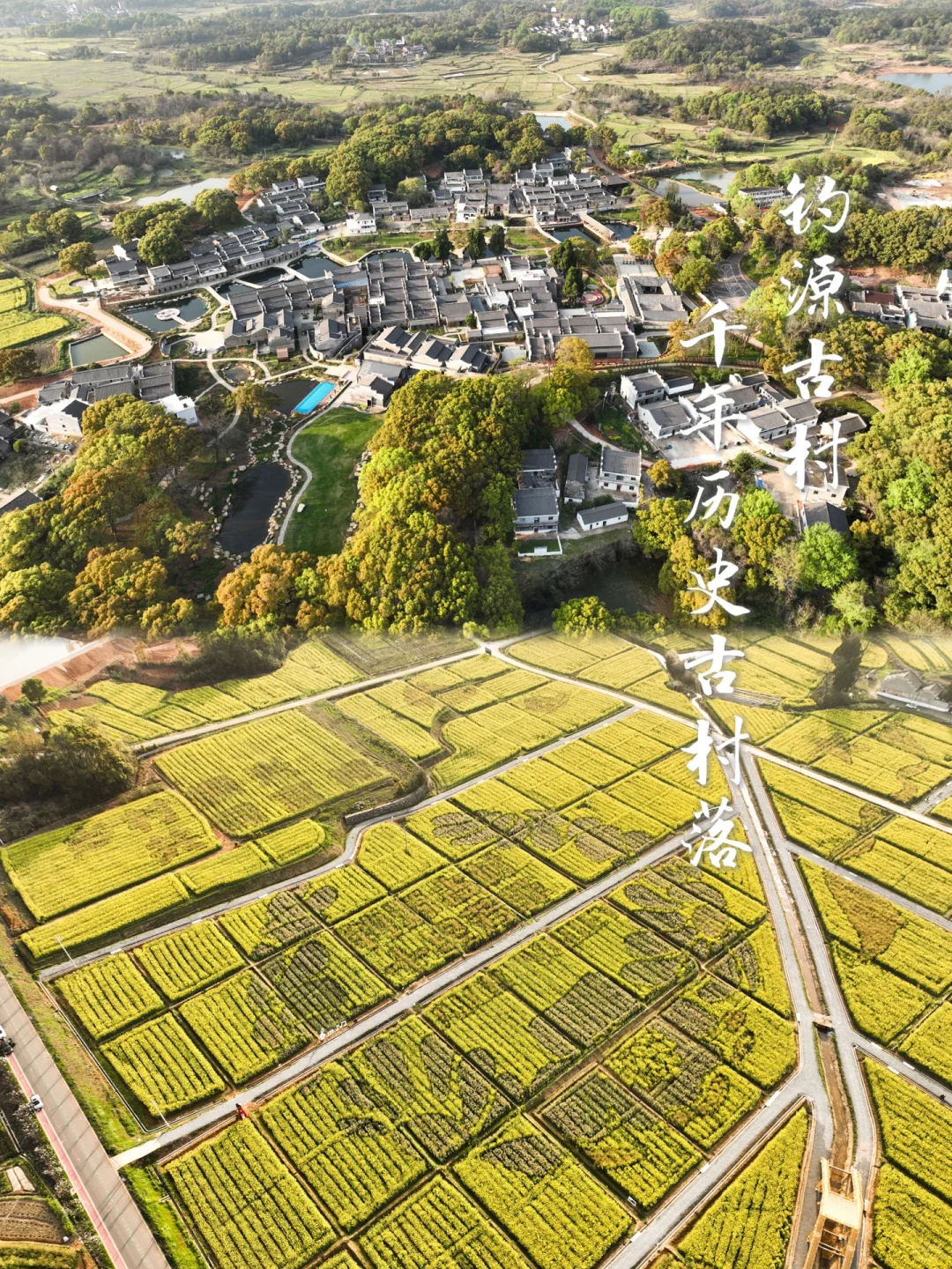 村里有好货｜红薯地乡村市集推荐