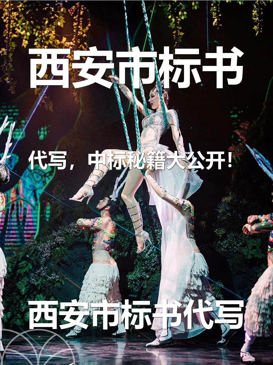 西安市标书代写,中标秘籍大公开!