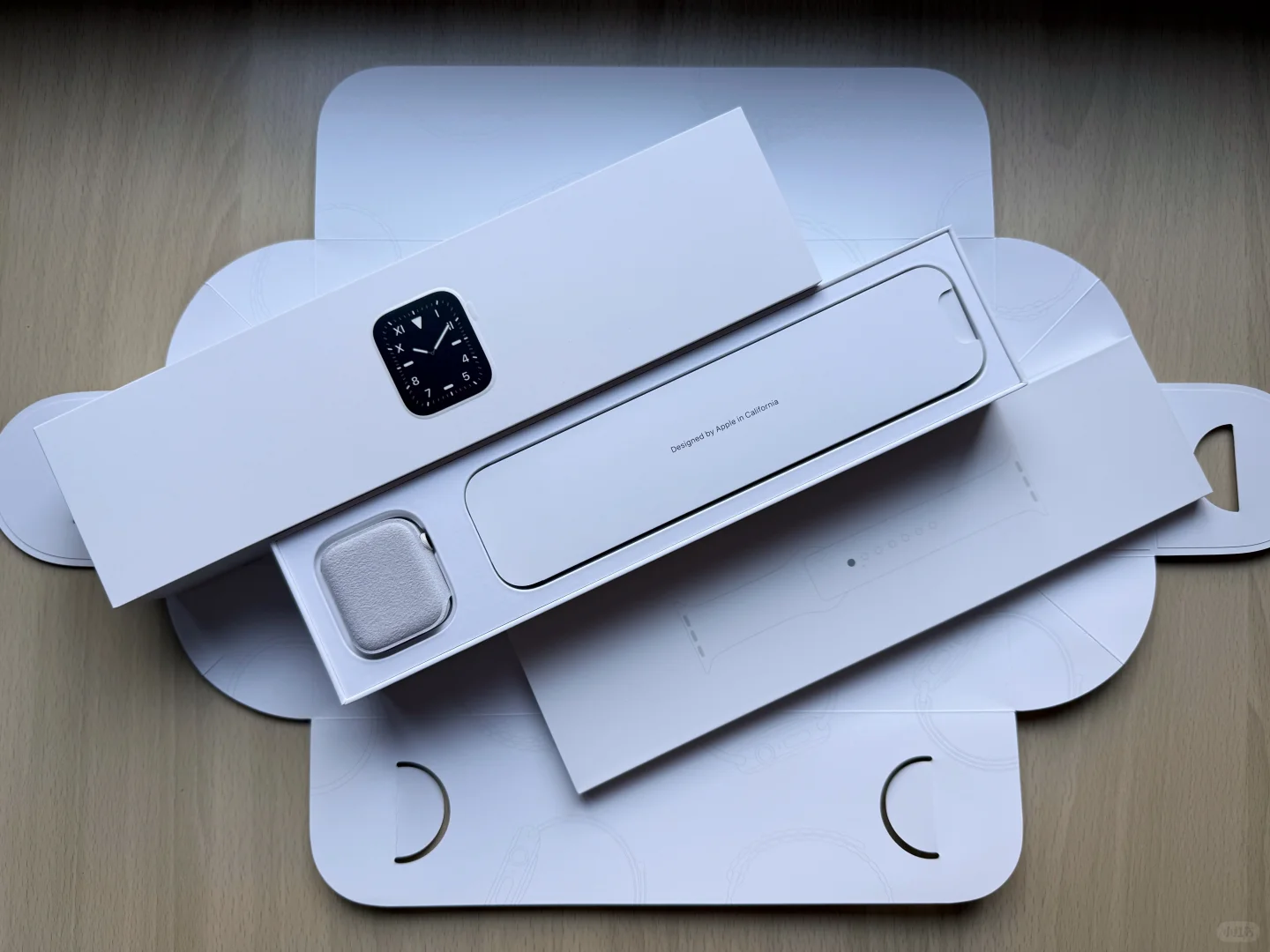 Apple Watch 精密陶瓷