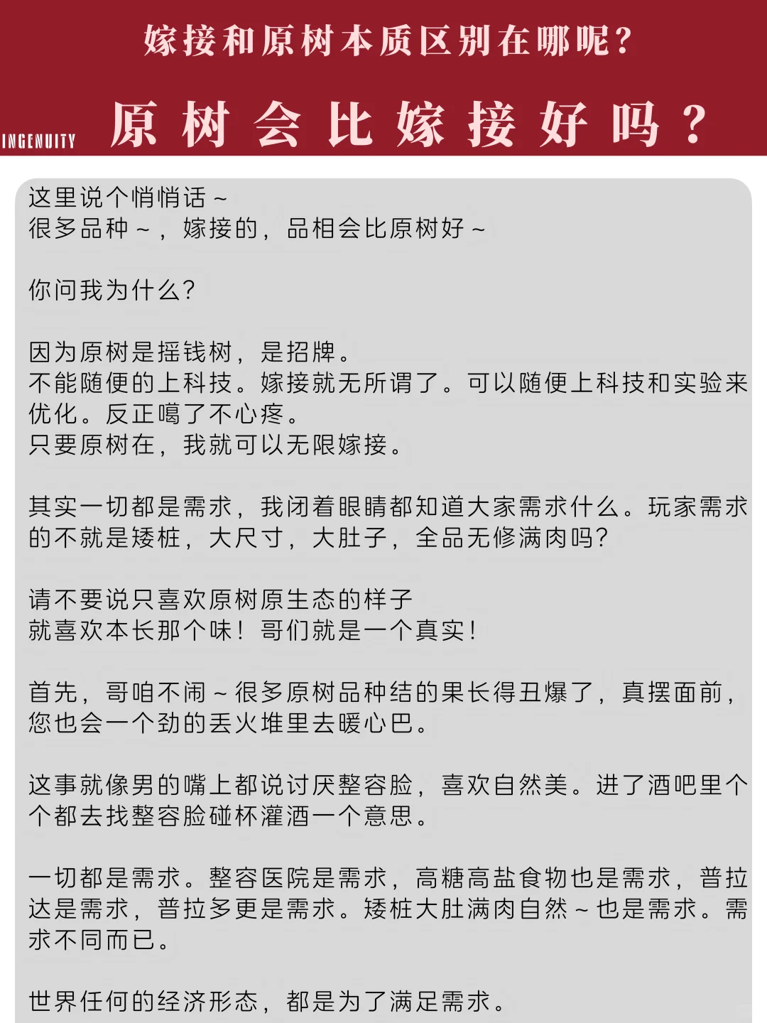云收带您深入解析文玩核桃那些事儿