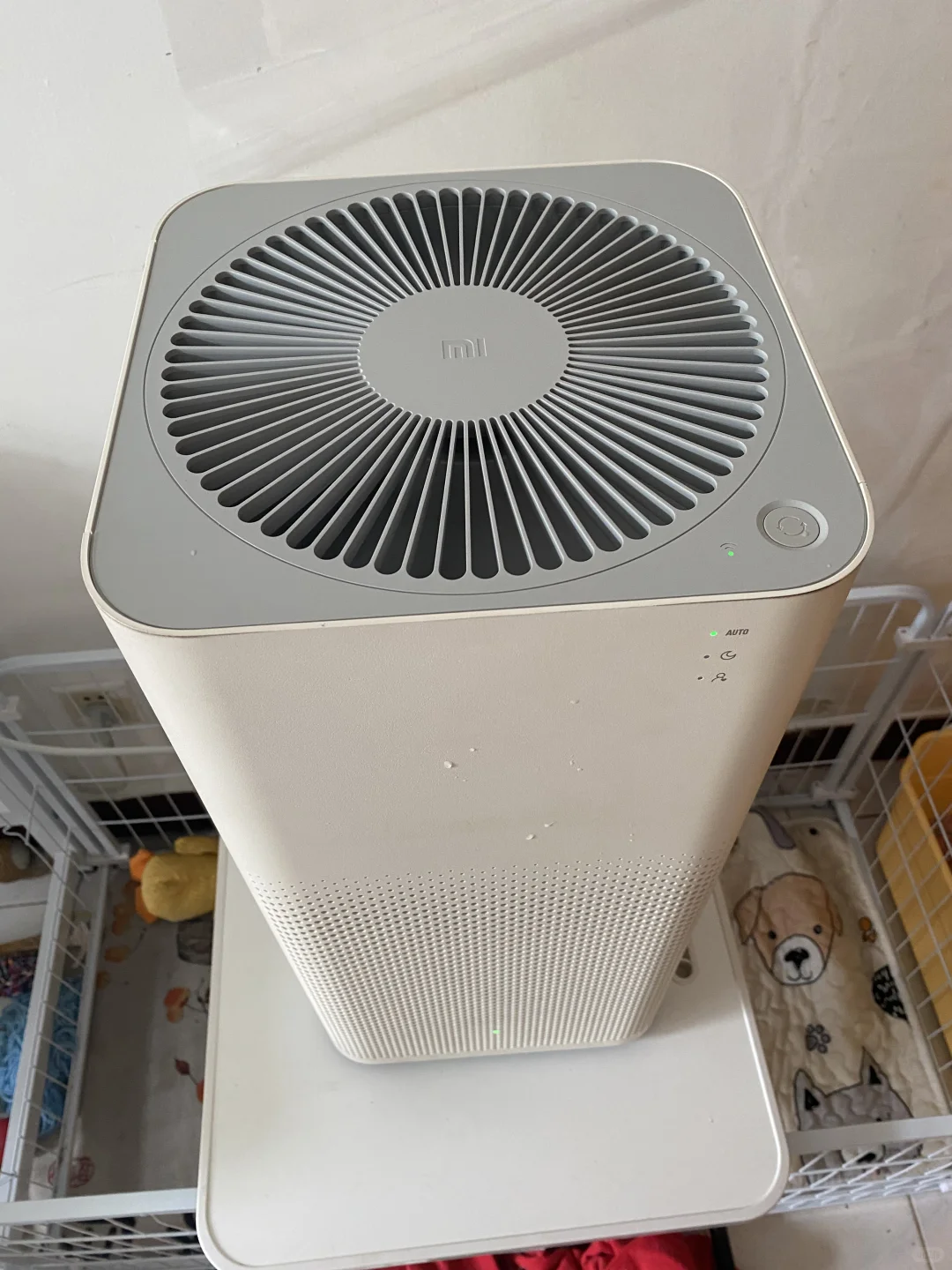 让自己的肺歇歇