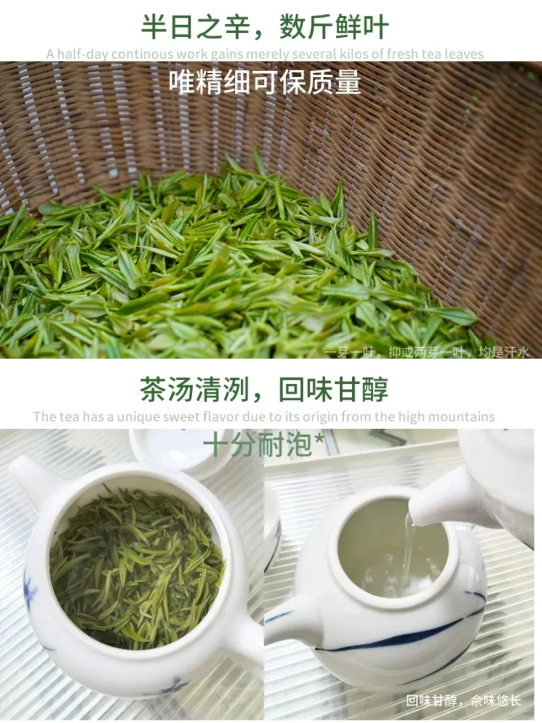 茶叶助农｜一份来自秦岭深处的?礼物