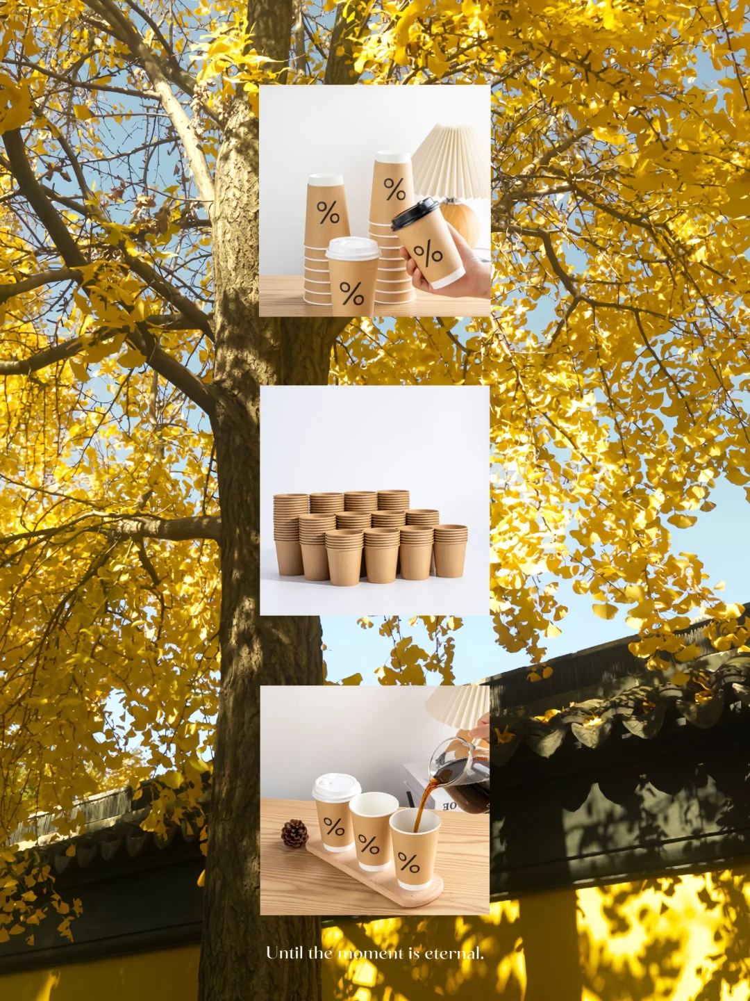 这句歌词也太适合十一月发了吧???