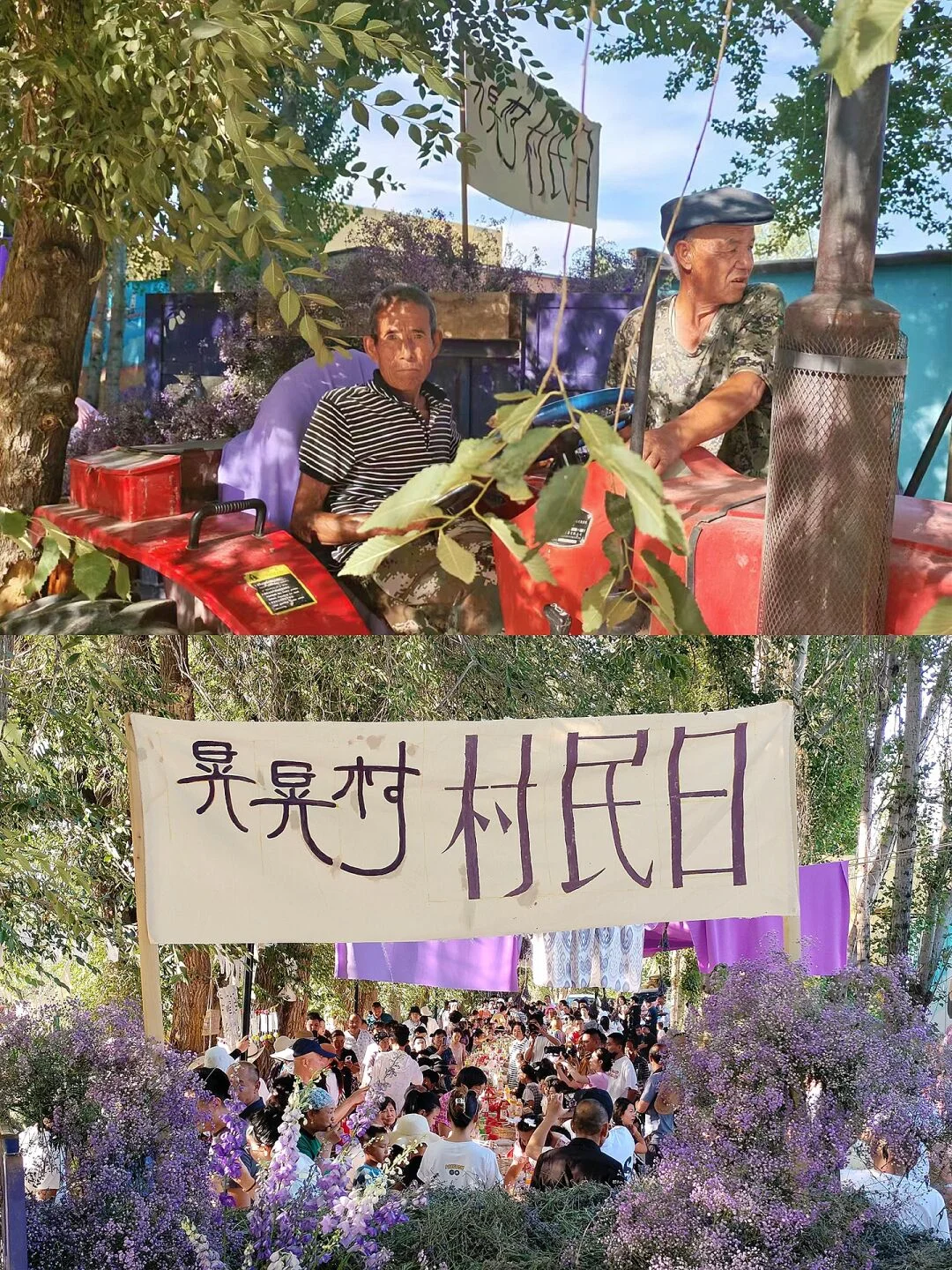 村里有好货｜红薯地乡村市集推荐