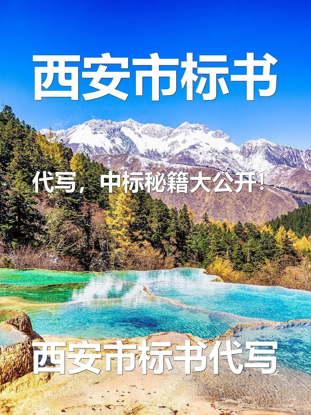 西安市标书代写,中标秘籍大公开!