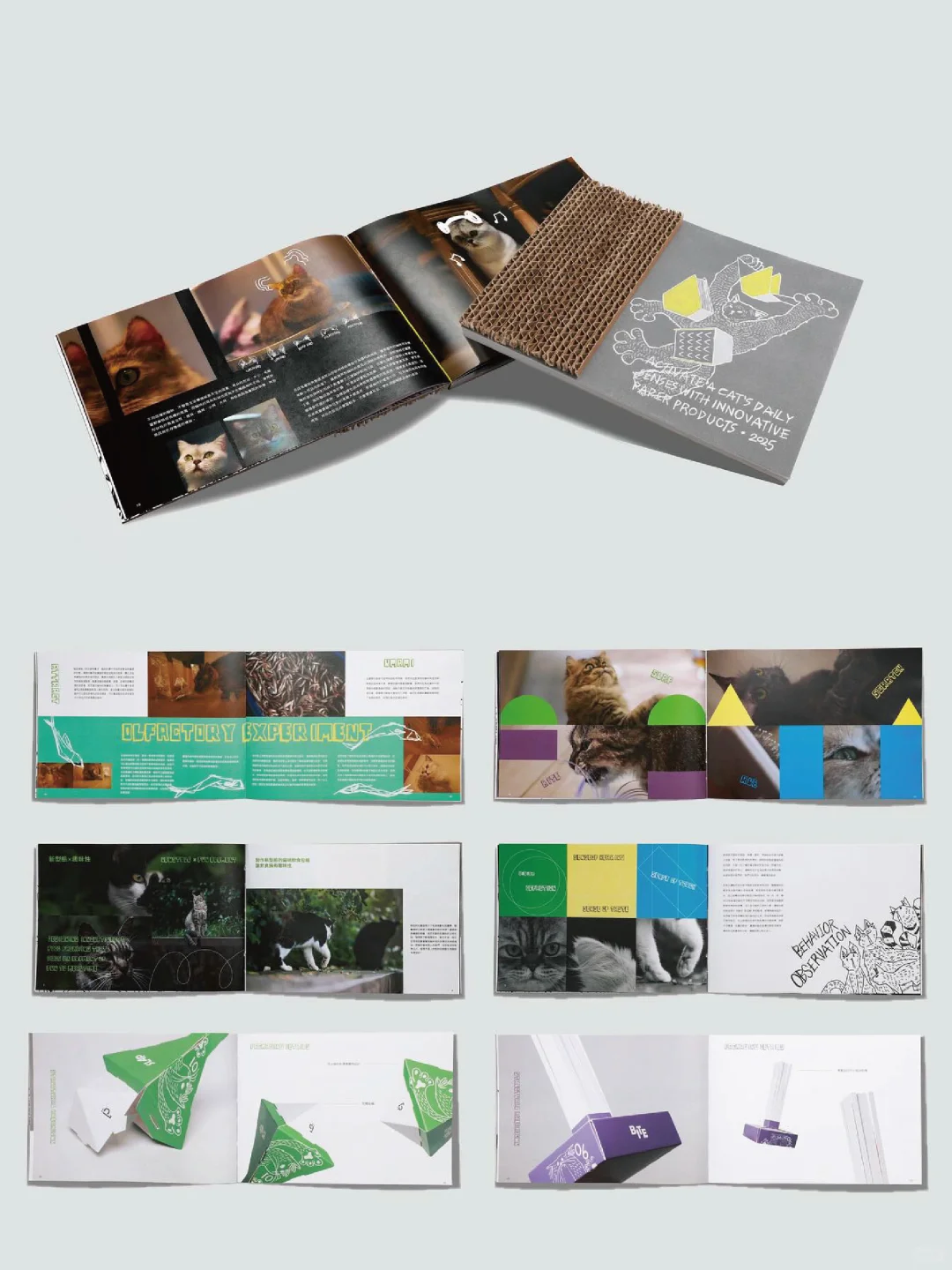 双料大奖?为猫咪做了12款“感官盛宴”包?