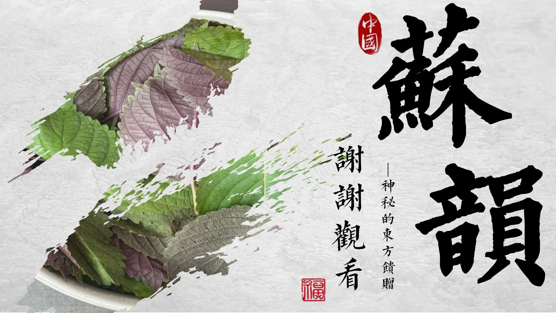 新型紫苏饮产品