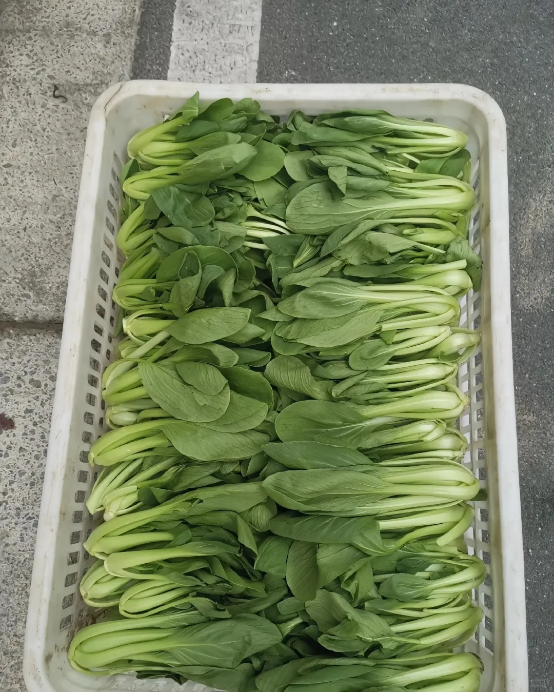 上海 全区 食材 餐饮 供应 配送