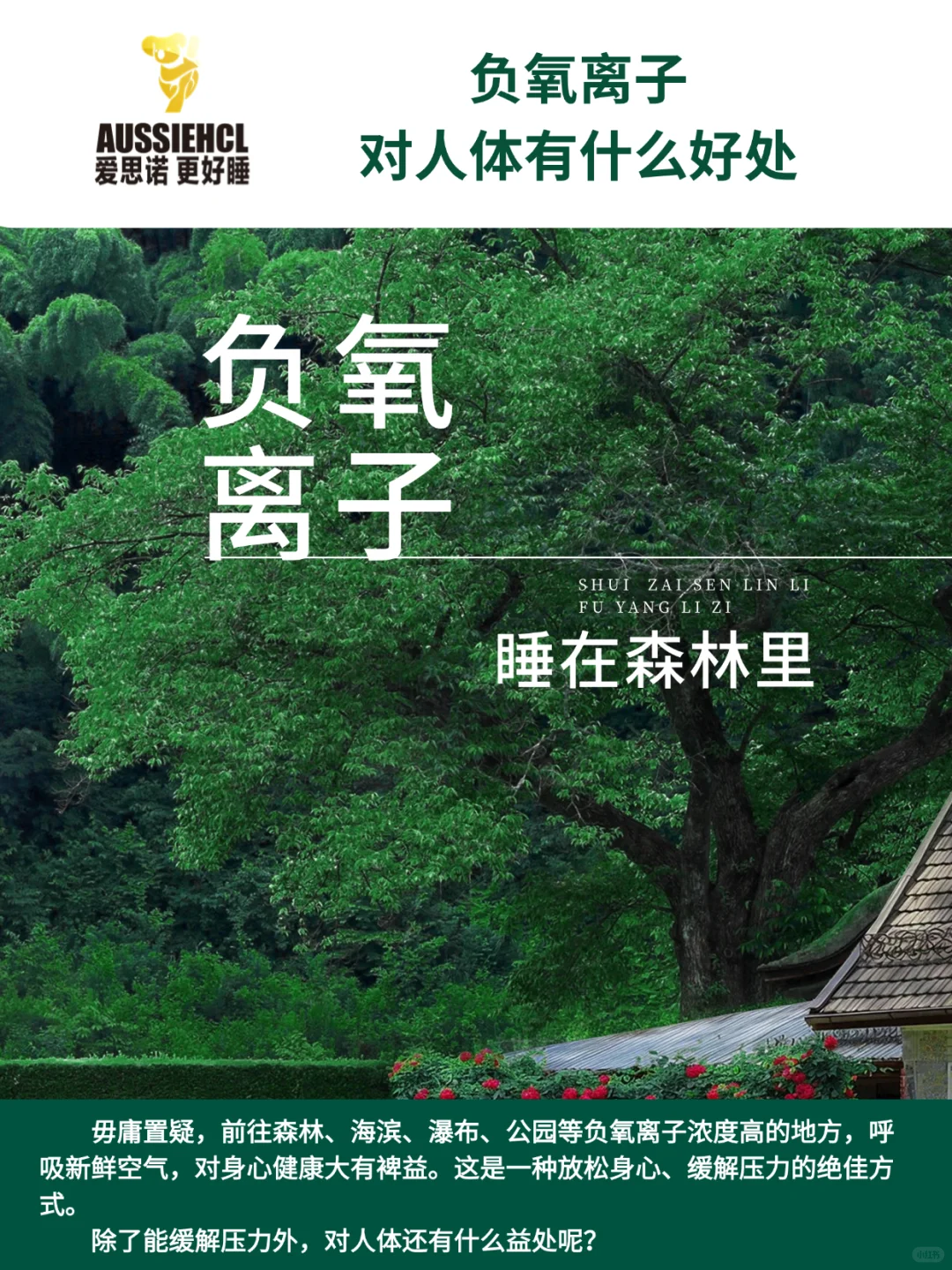 睡进森林里!负氧离子才是“睡眠搭子”?