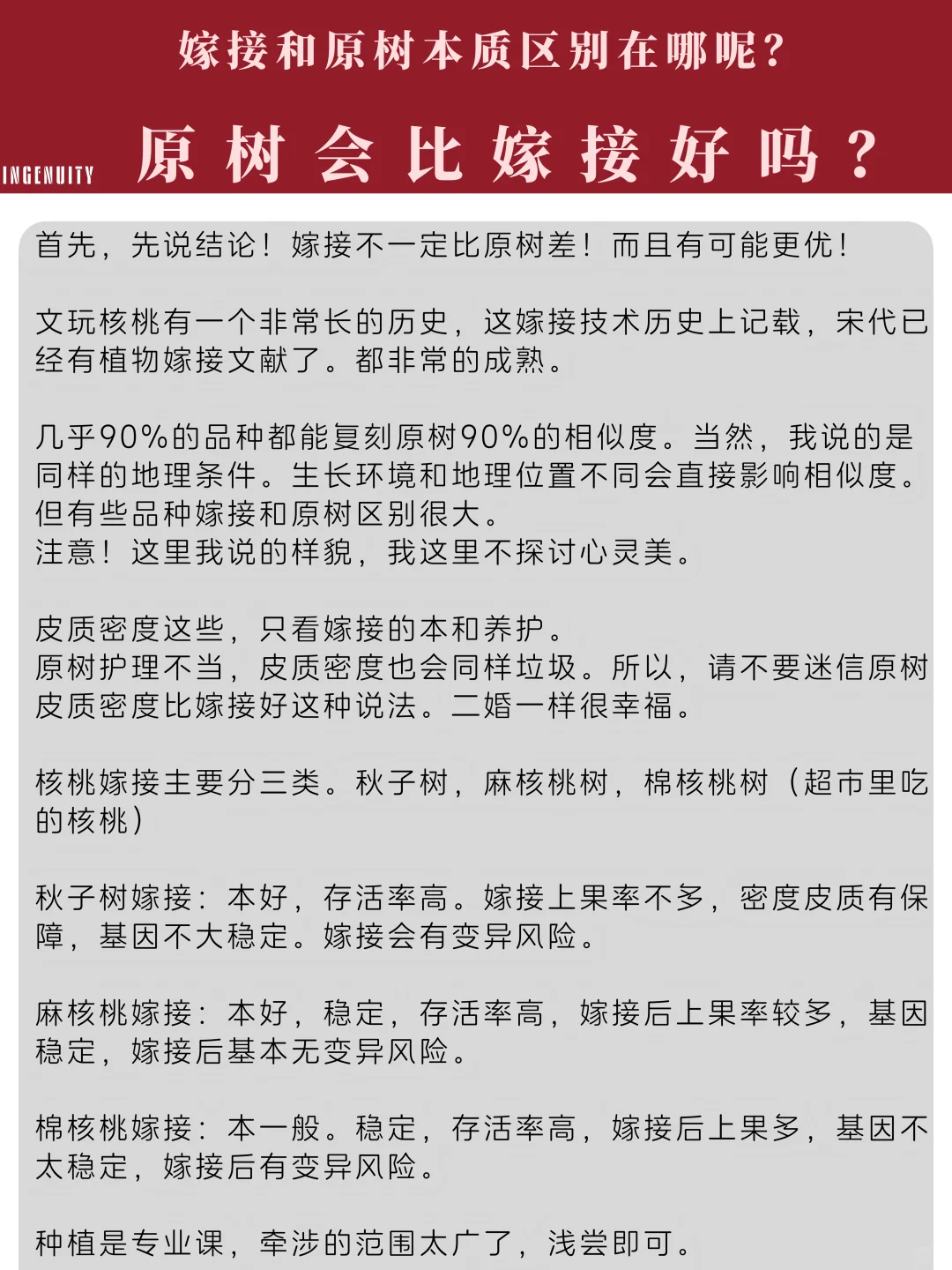 云收带您深入解析文玩核桃那些事儿