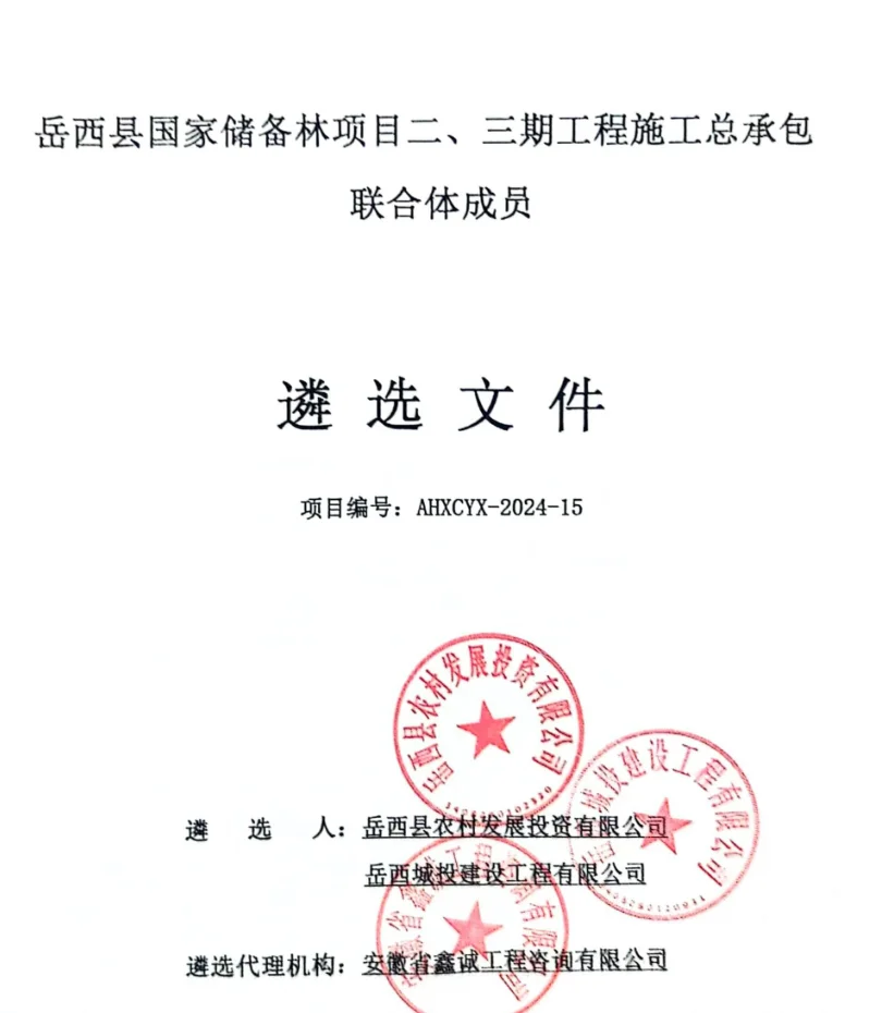 施工，监理，造价，打分施组，技术标