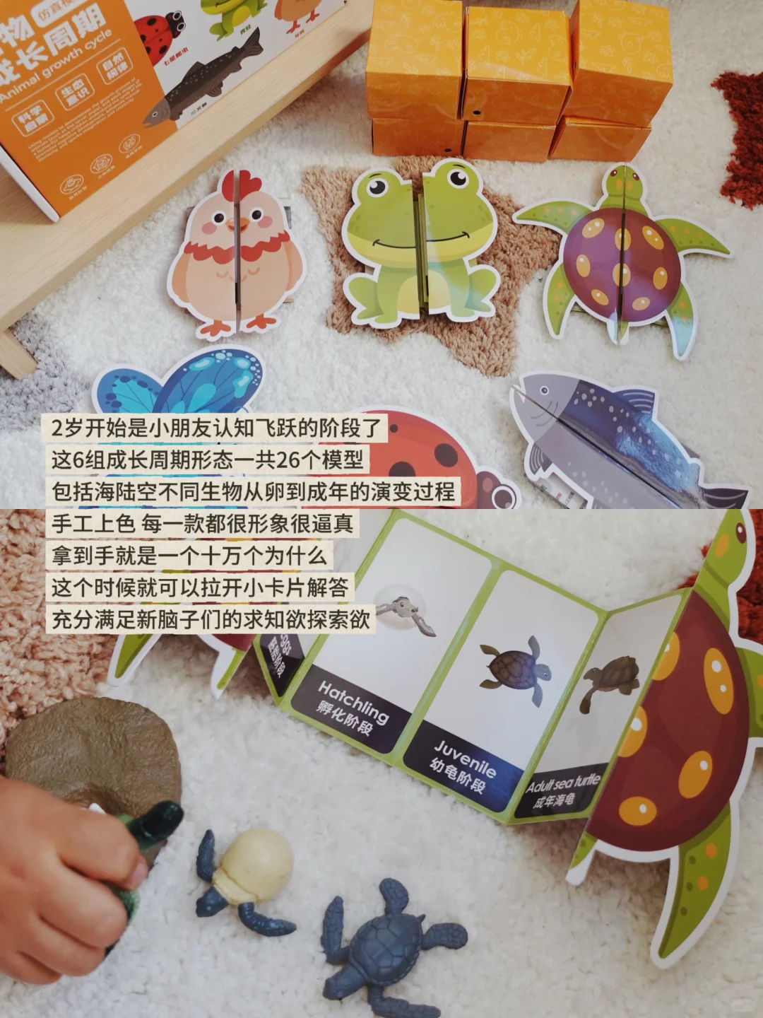 share|不厌其烦收集的一些宝藏玩具?