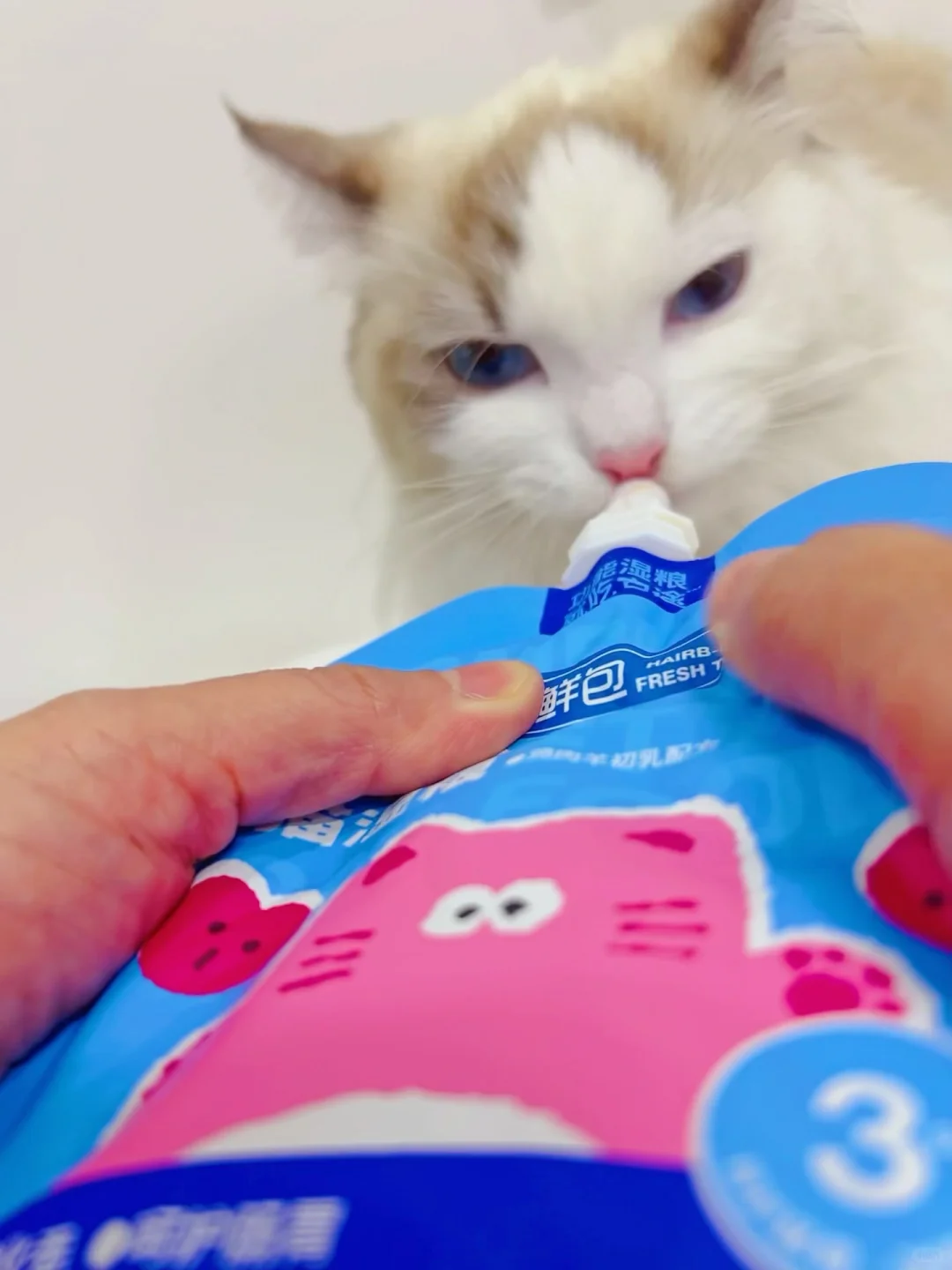 ?官宣!|「它途宠物食品」来小红书报到啦!?