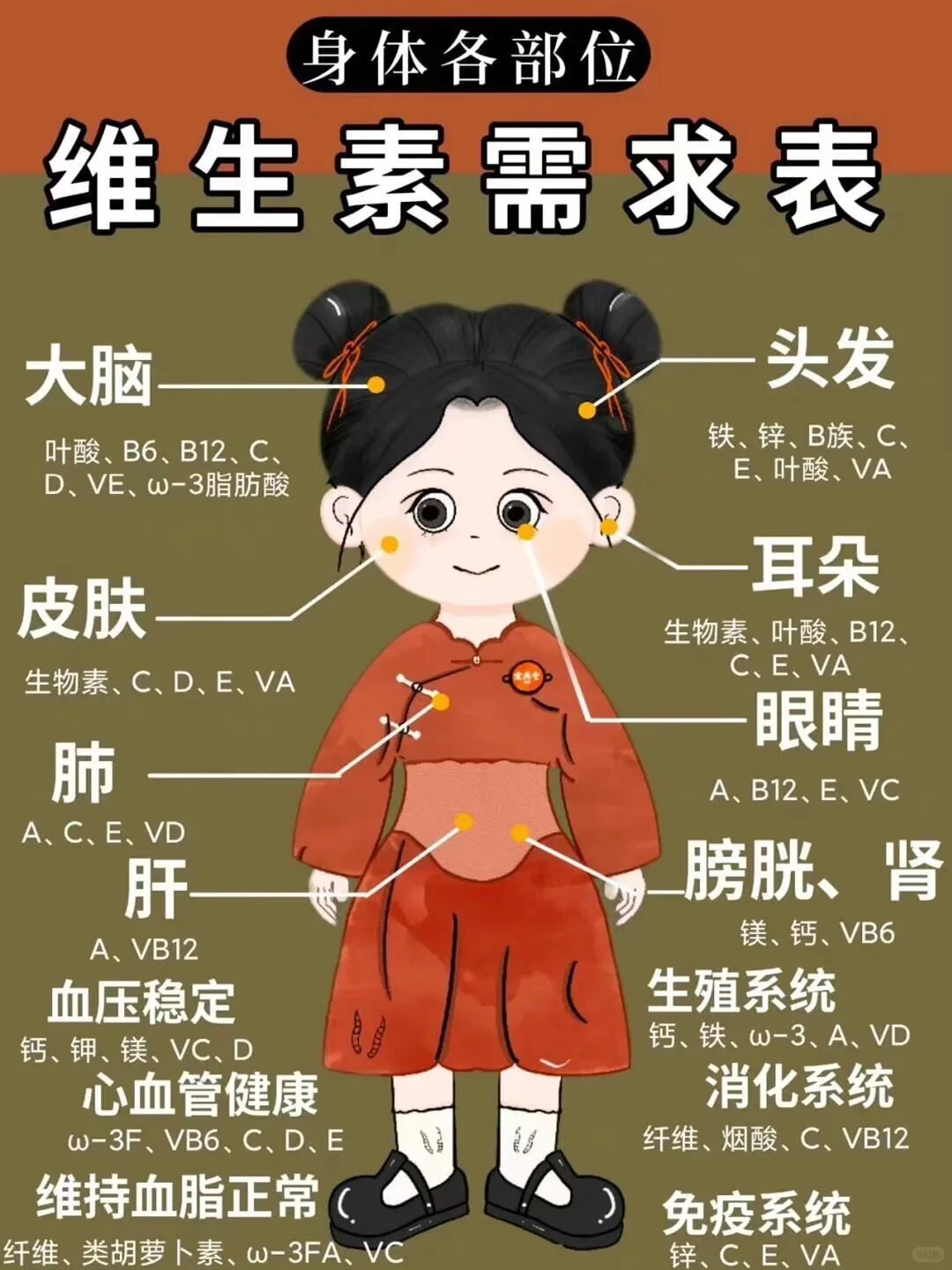 了解人体维生素矿物质需求