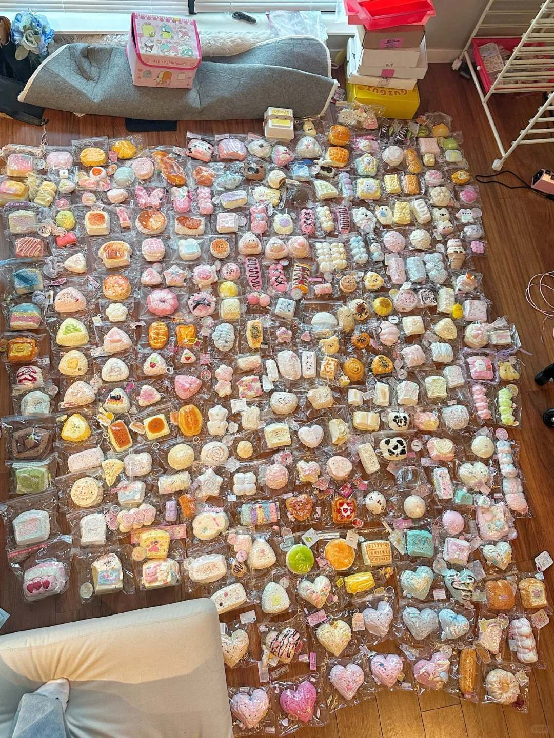 留子入坑捏捏四个月合照?