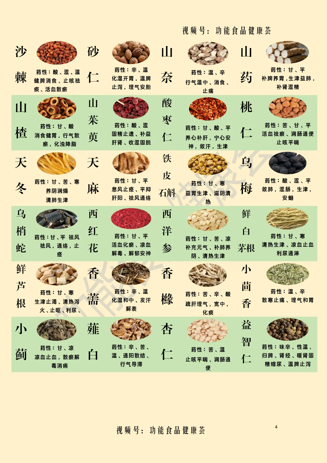 2025最新食药物质目录速览