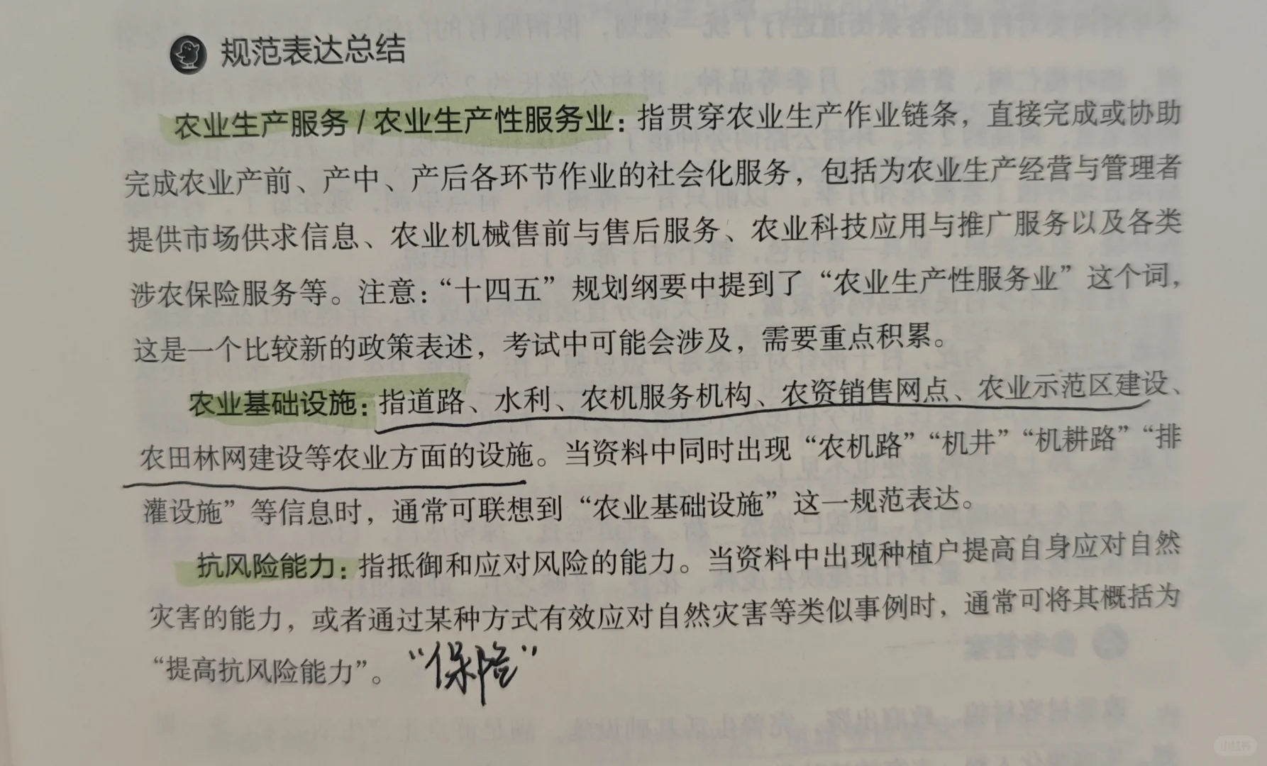 申论规范词-乡村振兴