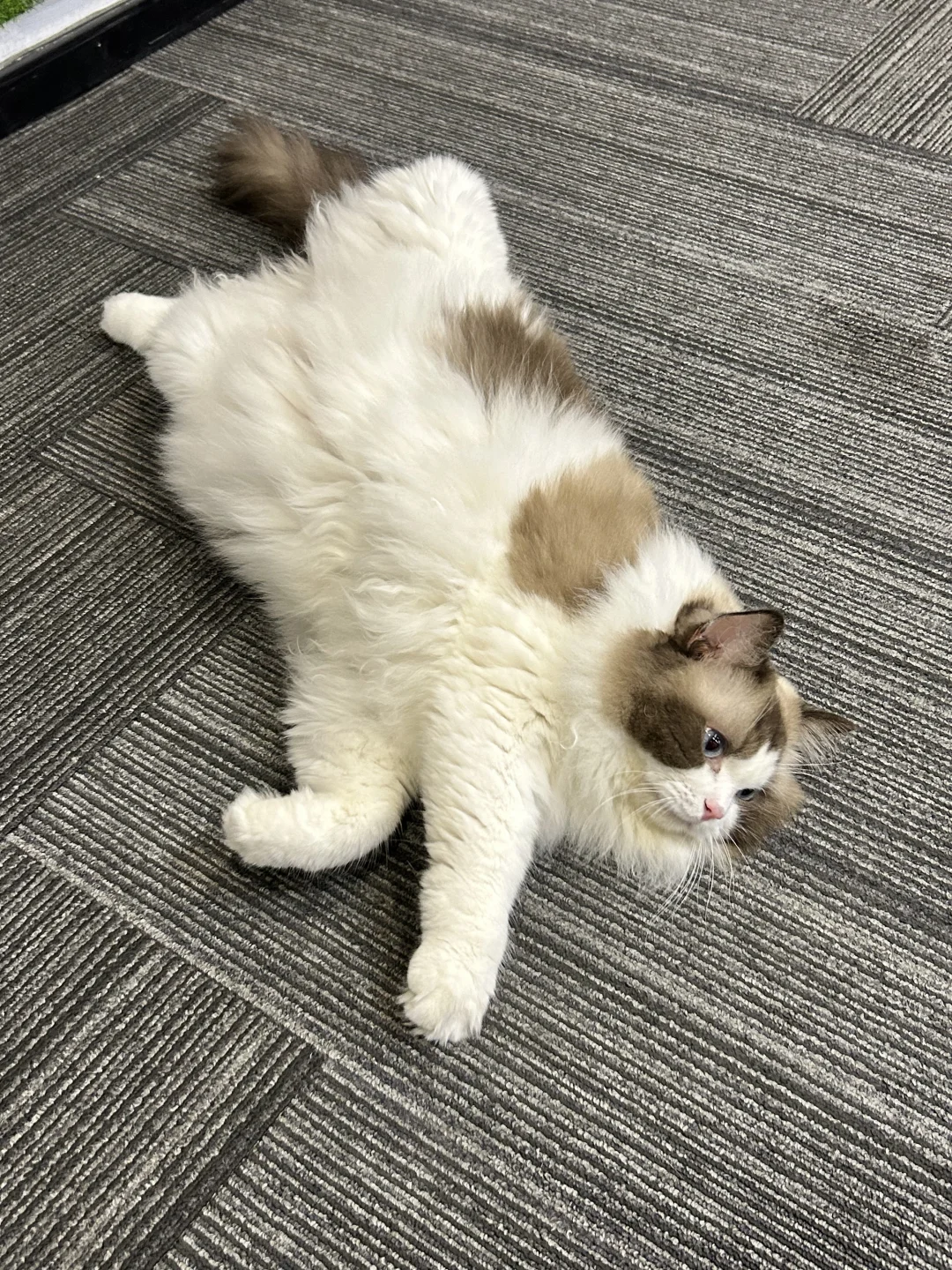 27岁这年，我决定开一家内容营销公司在杭州