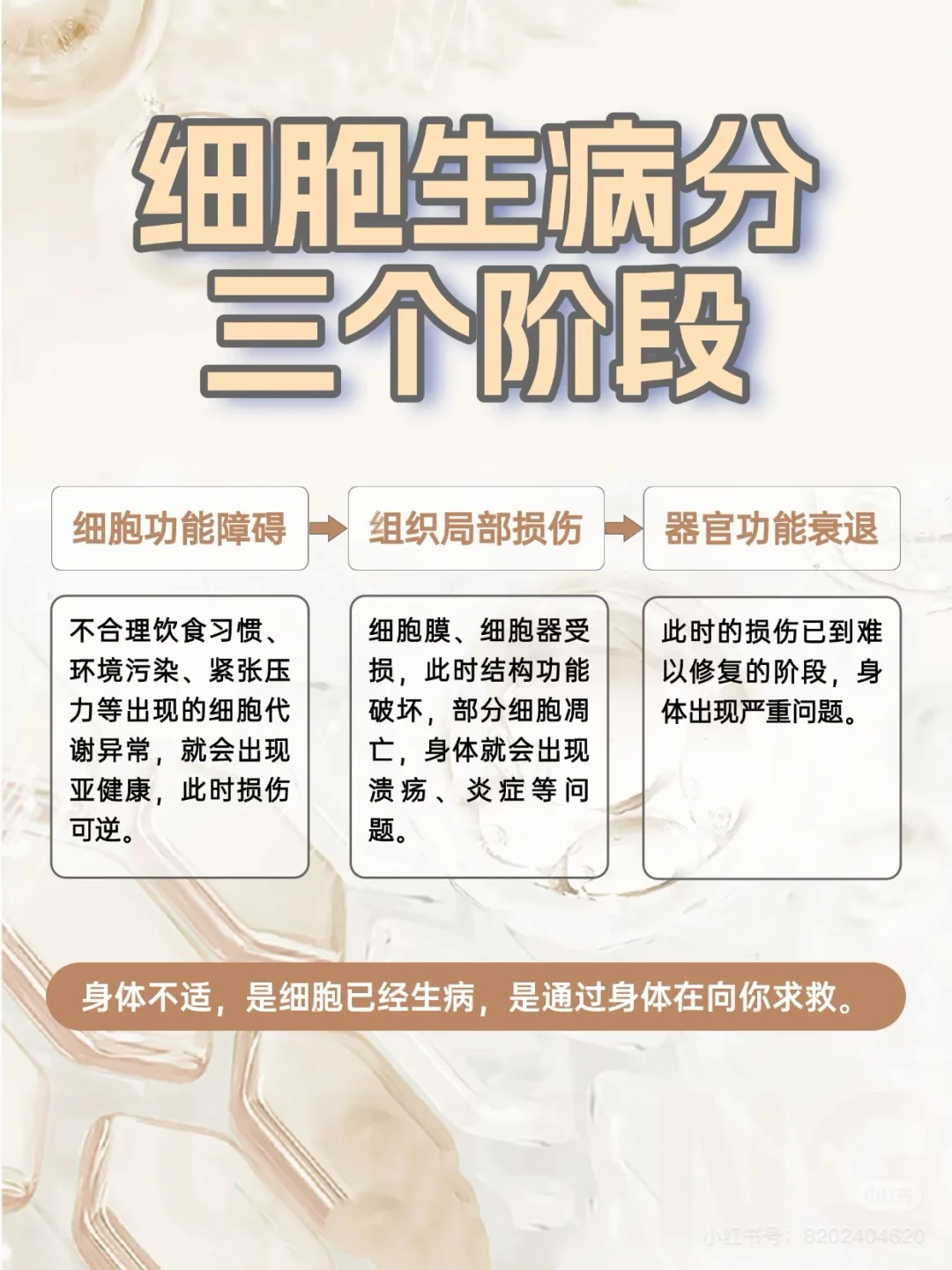 细胞好身体好，守护健康从细胞开始