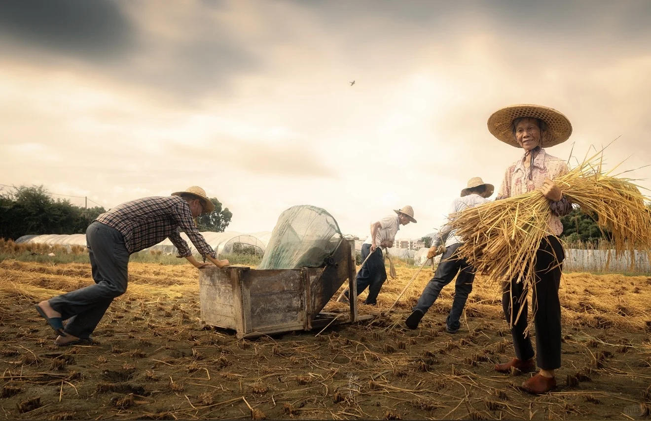?地球的“碳水浪漫”｜国际粮食日